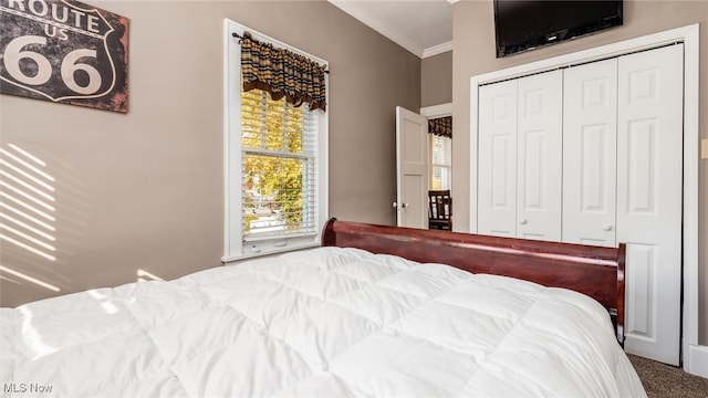 bedroom featuring a closet, ornamental molding, and carpet