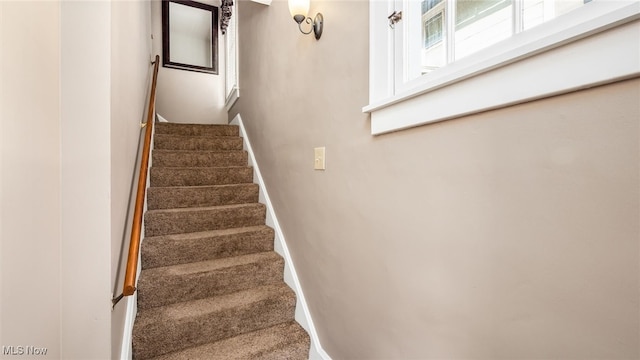 stairway featuring carpet