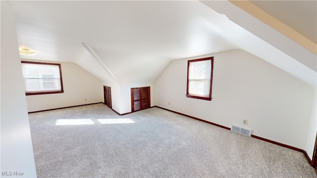 additional living space with light carpet, plenty of natural light, and vaulted ceiling