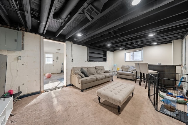 living room featuring electric panel and carpet floors