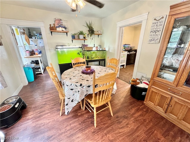 dining room with dark hardwood / wood-style floors and ceiling fan