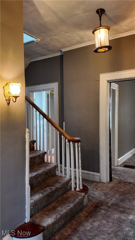 stairs with crown molding and carpet