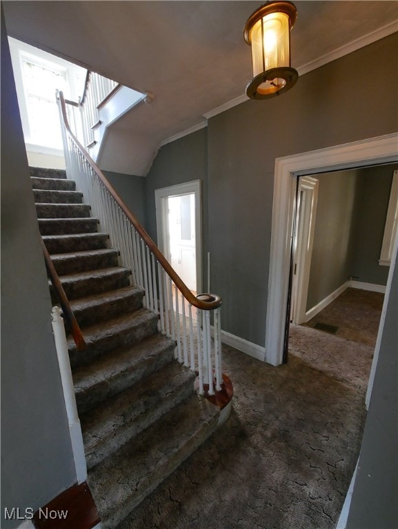 stairs with crown molding and carpet floors