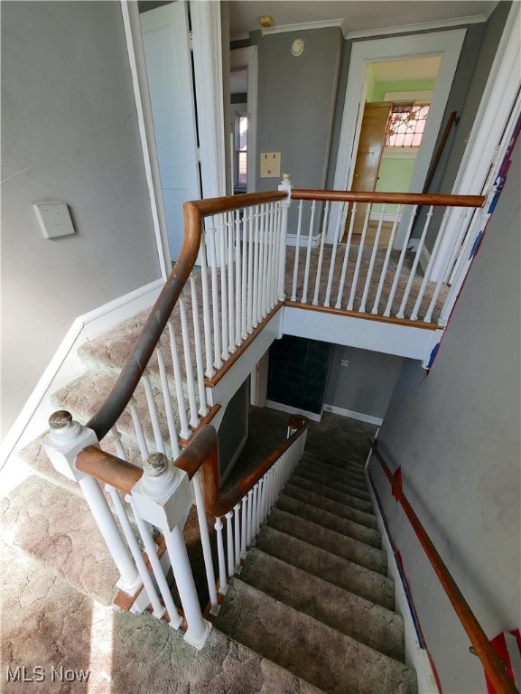 staircase featuring ornamental molding and carpet flooring