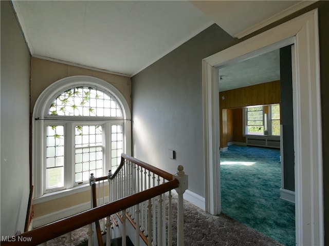 hallway with crown molding, carpet floors, and wood walls