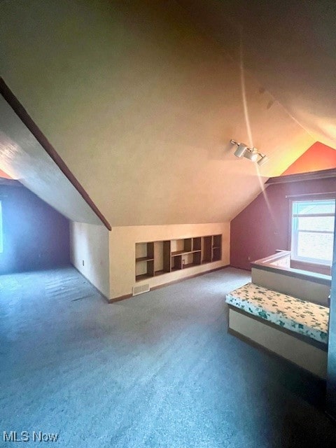 additional living space with vaulted ceiling and carpet flooring