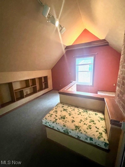 additional living space with carpet flooring and lofted ceiling