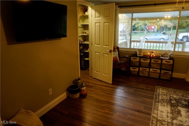 interior space with dark wood-type flooring