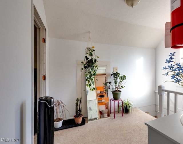 interior space featuring lofted ceiling and light colored carpet