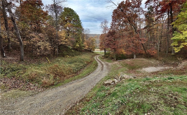 view of road