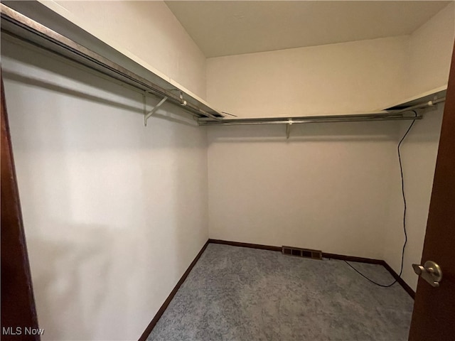 spacious closet with carpet floors