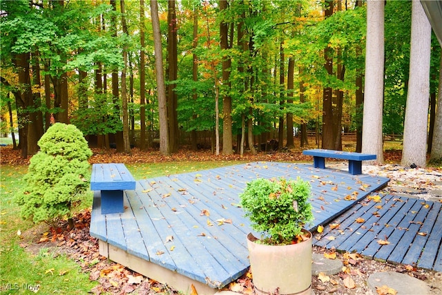 surrounding community featuring a wooden deck