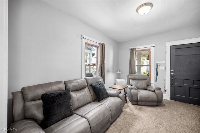 living room featuring carpet floors