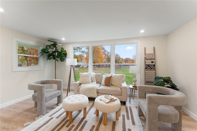 living room featuring a healthy amount of sunlight and light hardwood / wood-style floors