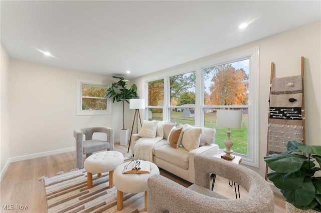 living room featuring light wood-type flooring