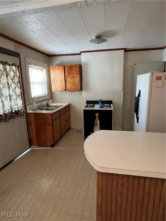 kitchen with sink, ornamental molding, and white refrigerator with ice dispenser