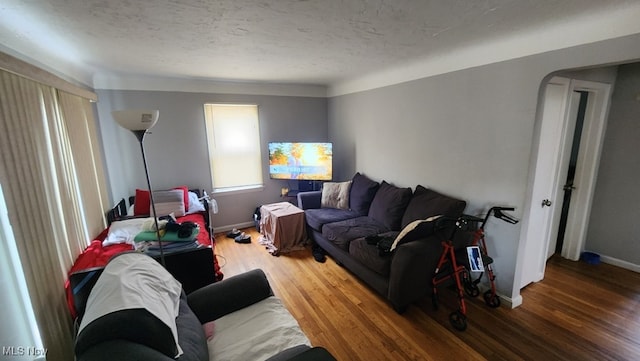 living room with wood-type flooring