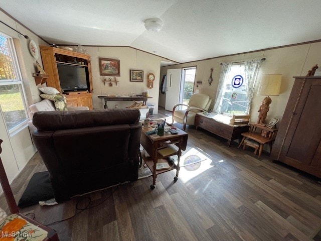 living room featuring lofted ceiling and dark wood-type flooring