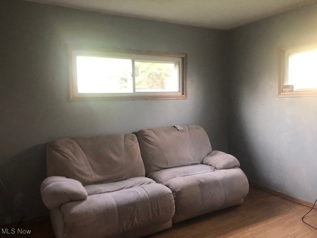 living room featuring light hardwood / wood-style flooring