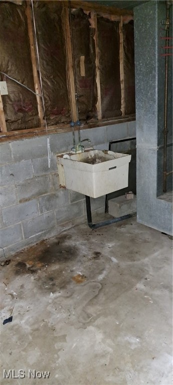 basement featuring sink