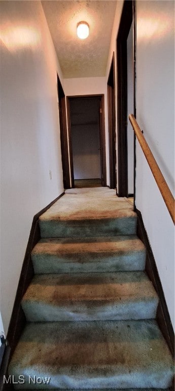 staircase featuring hardwood / wood-style floors