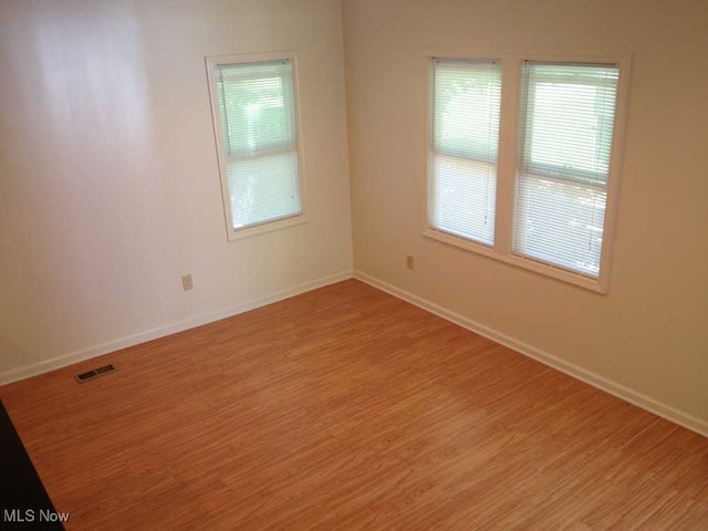 spare room featuring wood-type flooring