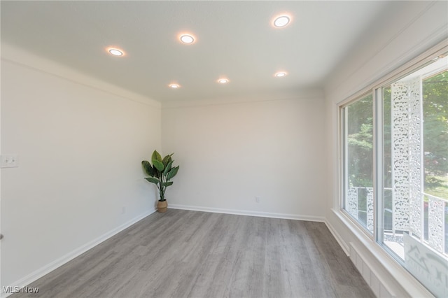 spare room with light wood-type flooring and a healthy amount of sunlight