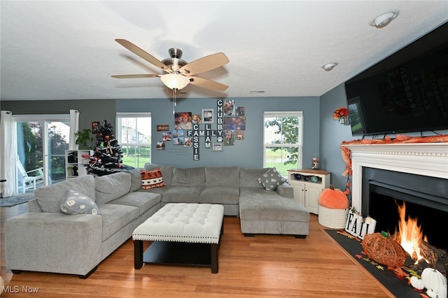 living room with ceiling fan, a textured ceiling, and light wood-type flooring