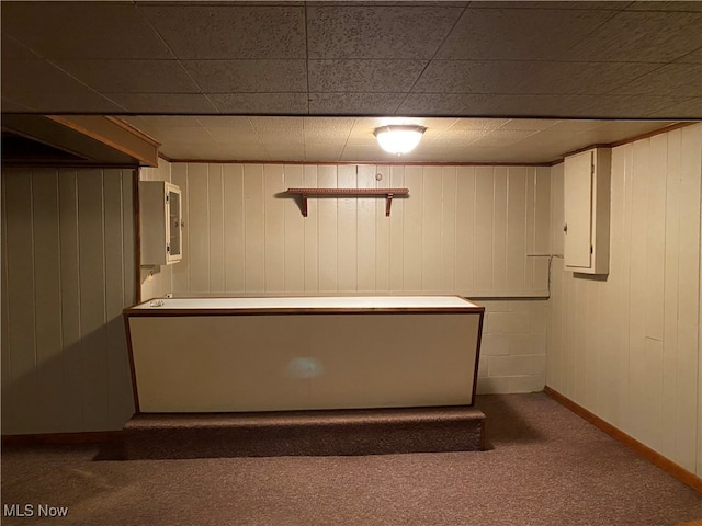 basement with wood walls and carpet