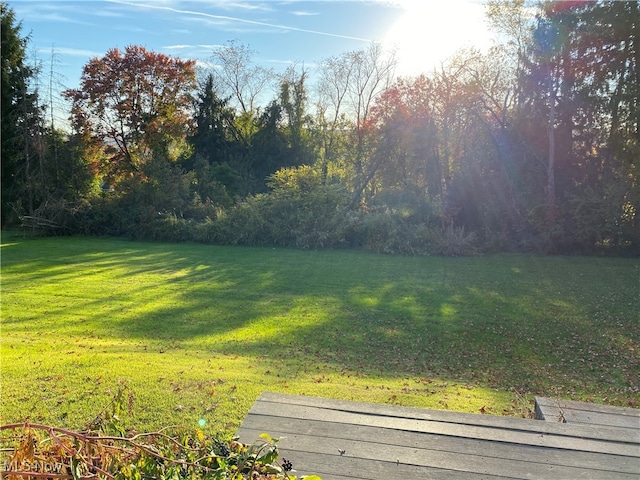 view of yard featuring a wooden deck