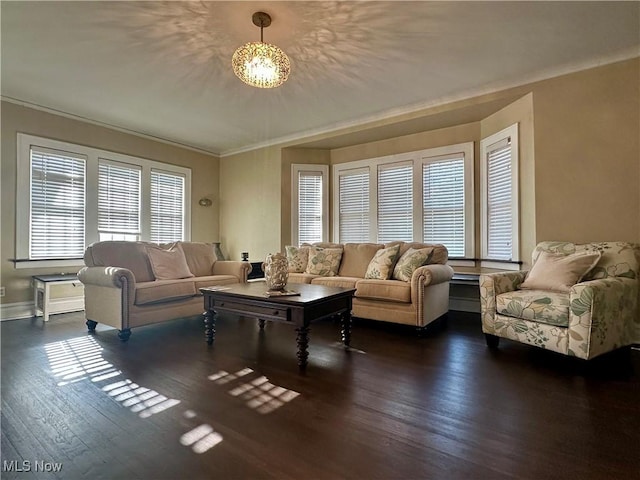 living room with a notable chandelier, dark hardwood / wood-style floors, and crown molding