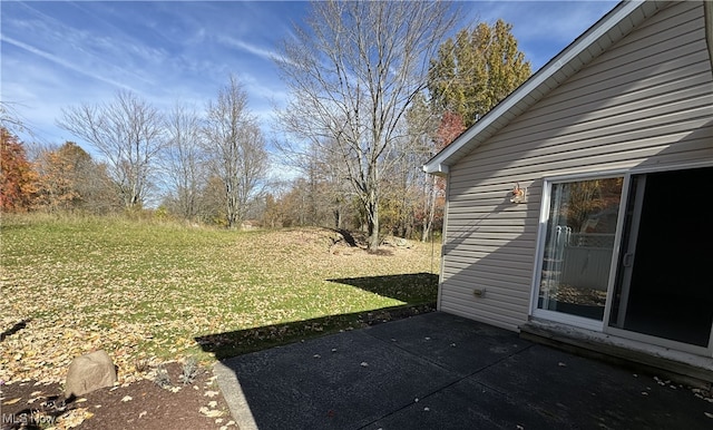 view of yard featuring a patio area