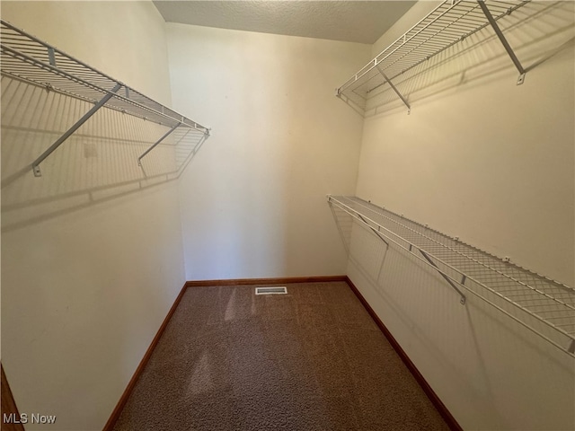 walk in closet with carpet flooring