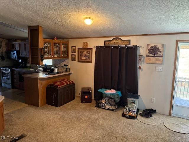 9793 Ziegler Rd, Hanoverton, OH 44423 - kitchen with a peninsula, glass insert cabinets, carpet flooring, and electric range
