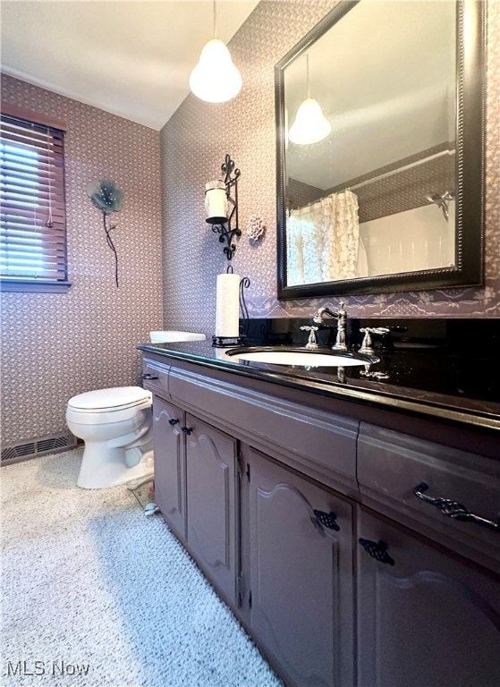 bathroom with toilet and vanity