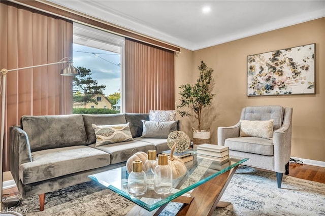 living room featuring hardwood / wood-style floors