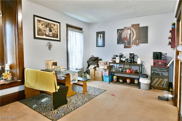 sitting room featuring a textured ceiling and carpet floors