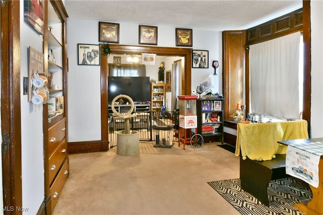 living area featuring a textured ceiling and light colored carpet