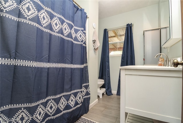 bathroom featuring toilet, vanity, and wood-type flooring