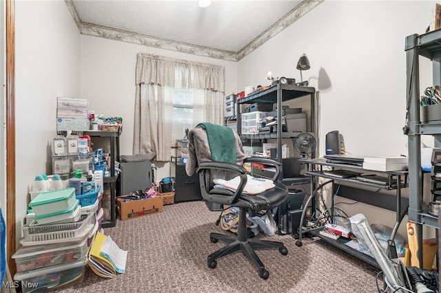 office featuring carpet flooring