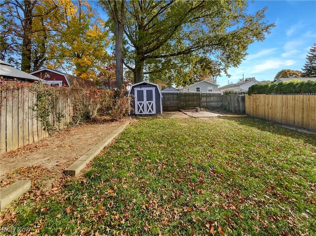 view of yard with a shed