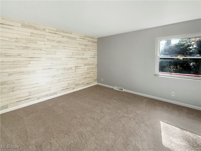 empty room featuring wood walls and carpet flooring