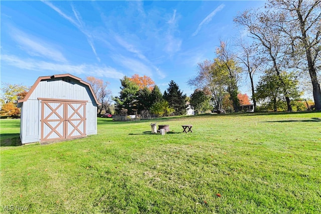 view of yard with a storage unit