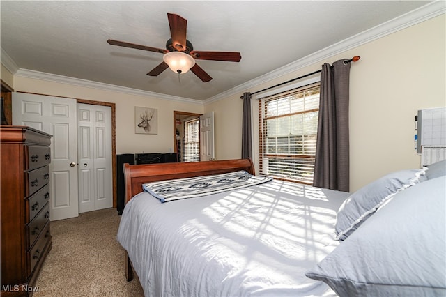 carpeted bedroom featuring ornamental molding, a textured ceiling, a closet, and ceiling fan