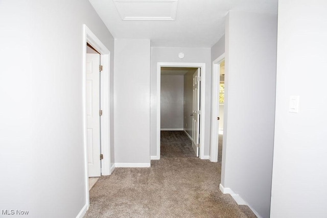 corridor with light colored carpet