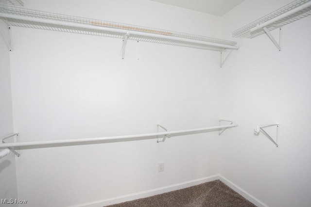 spacious closet with carpet flooring