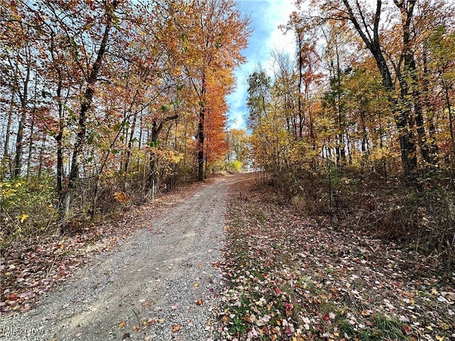 view of road