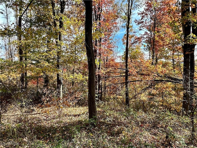 view of landscape