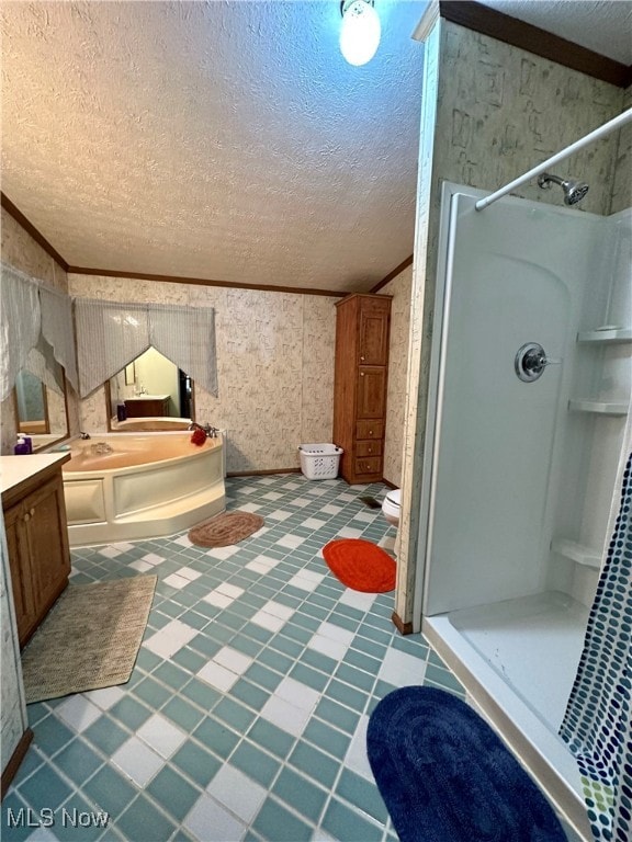 bathroom with vanity, crown molding, a textured ceiling, and walk in shower