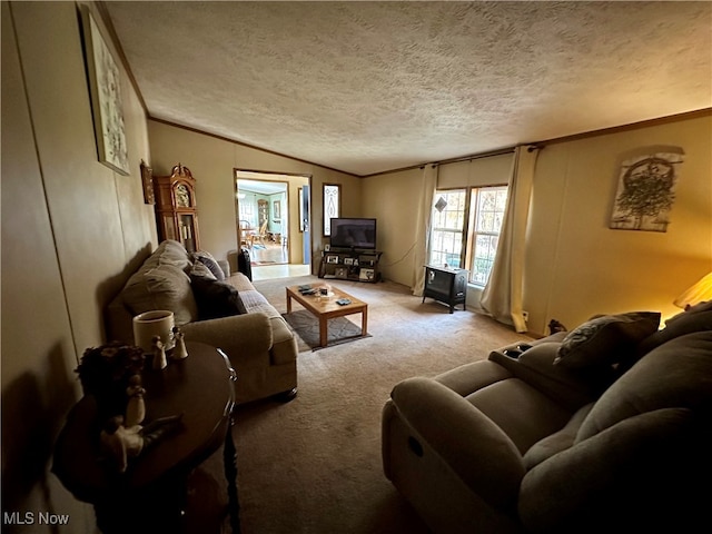 living room featuring a textured ceiling, ornamental molding, and light colored carpet